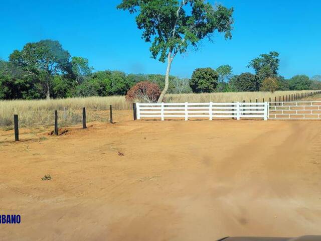 #3969 - Fazenda para Venda em Mundo Novo - GO