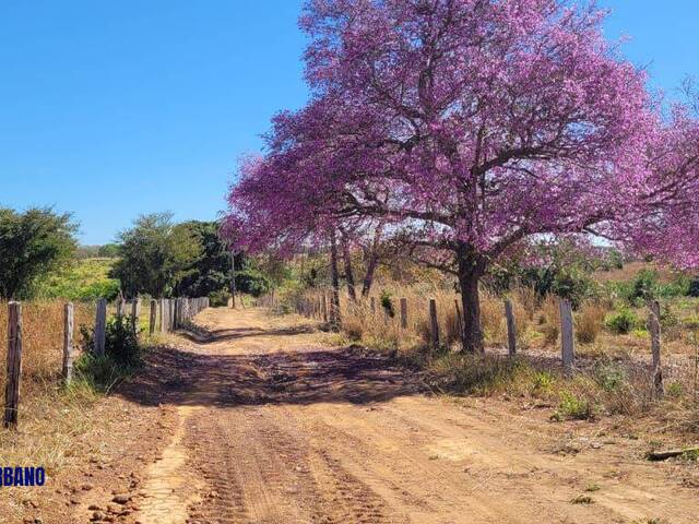 #3969 - Fazenda para Venda em Mundo Novo - GO