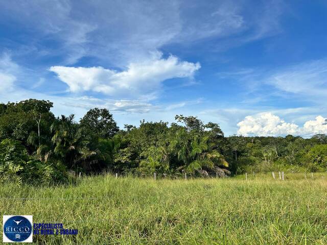 #3970 - Fazenda para Venda em Nova Crixás - GO