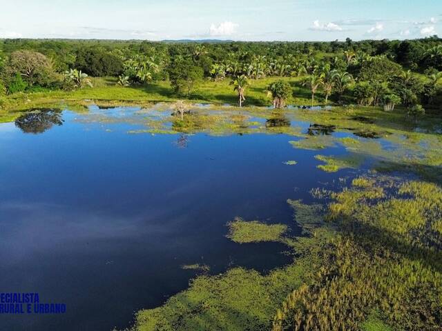 #3970 - Fazenda para Venda em Nova Crixás - GO