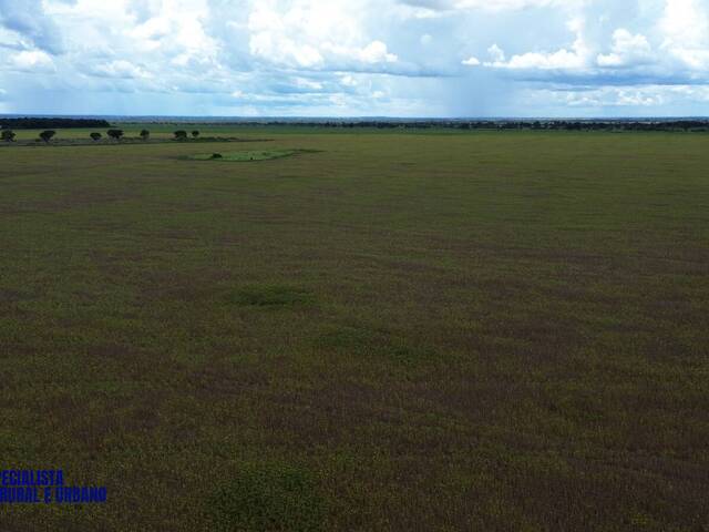 #3971 - Fazenda para Venda em Nova Crixás - GO