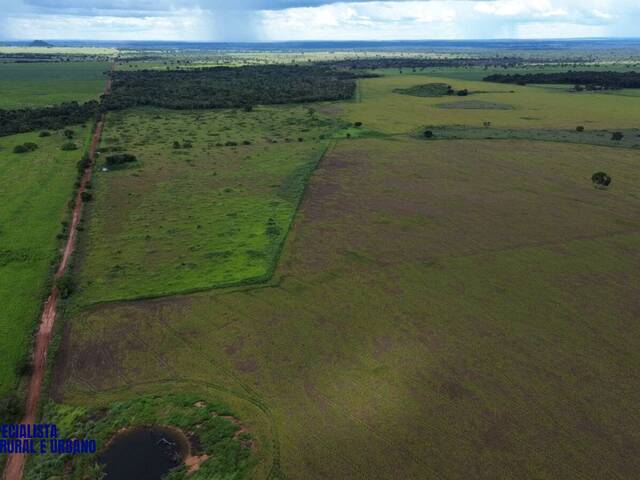 #3971 - Fazenda para Venda em Nova Crixás - GO