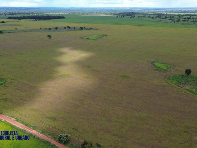 #3971 - Fazenda para Venda em Nova Crixás - GO