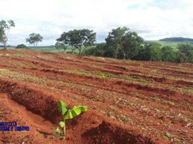 #3972 - Sítio para Venda em Ceres - GO