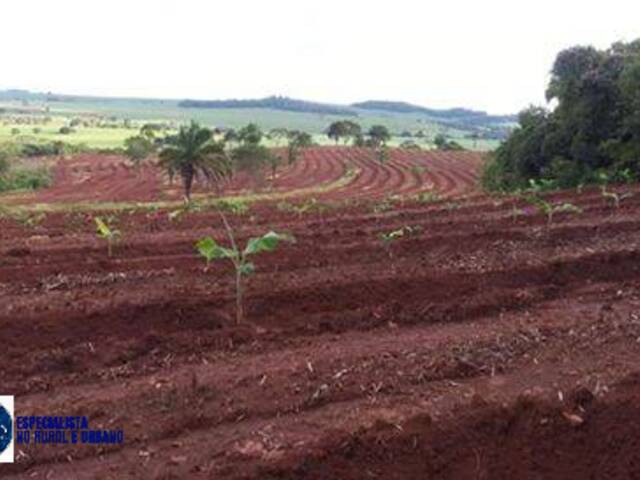 #3972 - Sítio para Venda em Ceres - GO