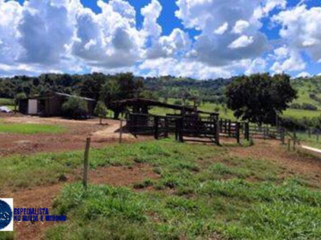 #3972 - Sítio para Venda em Ceres - GO
