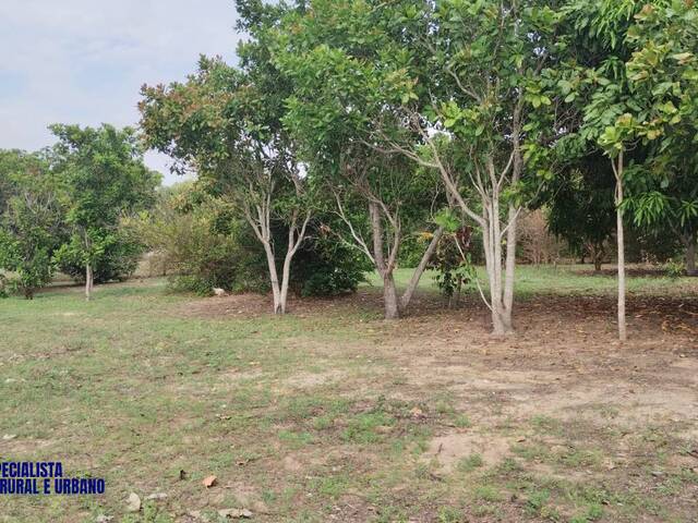 #3973 - Sítio para Venda em Porangatu - GO