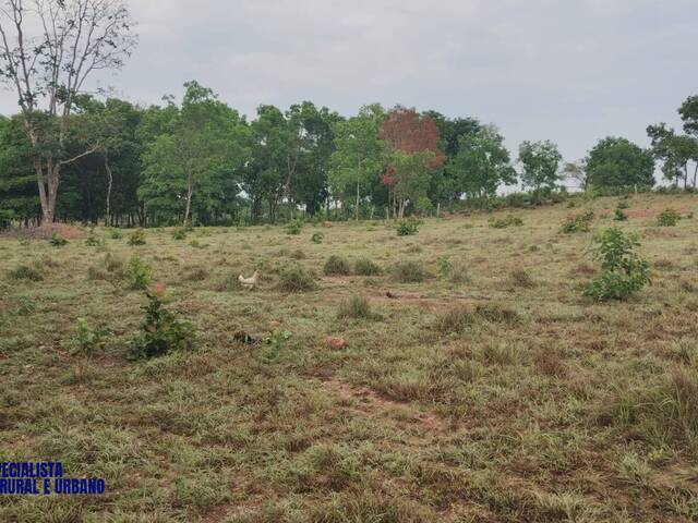 #3973 - Sítio para Venda em Porangatu - GO