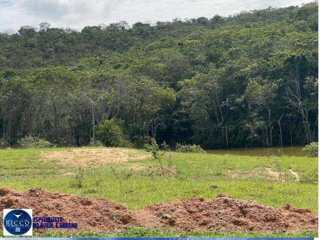 #3975 - Chácara para Venda em Orizona - GO