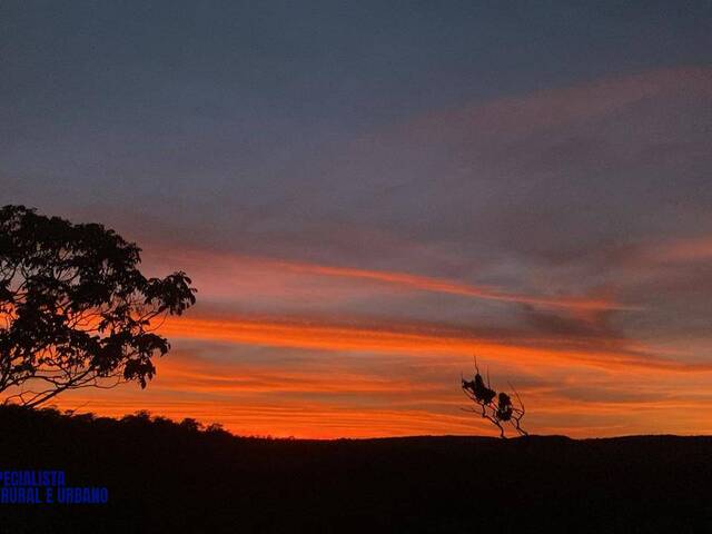 #3975 - Chácara para Venda em Orizona - GO