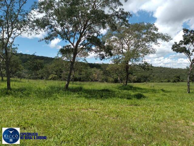 Chácara para Venda em Orizona - 4