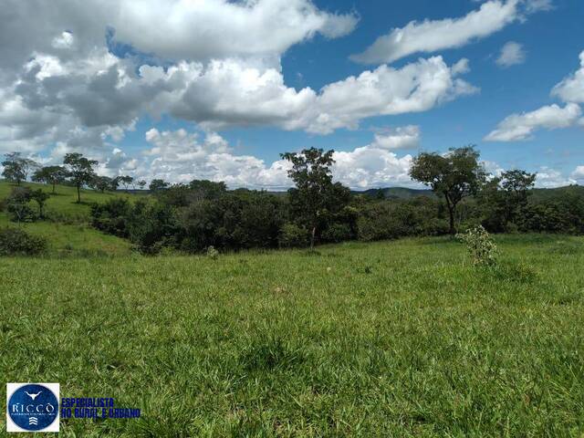 Chácara para Venda em Orizona - 5