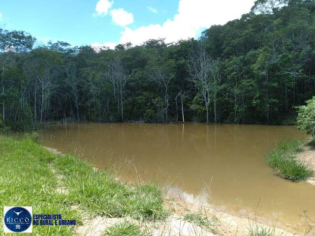 #3975 - Chácara para Venda em Orizona - GO