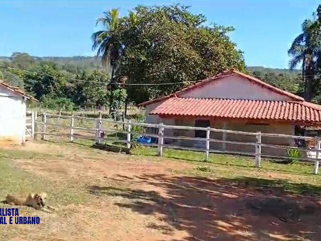 #3980 - Fazenda para Venda em São Luís de Montes Belos - GO