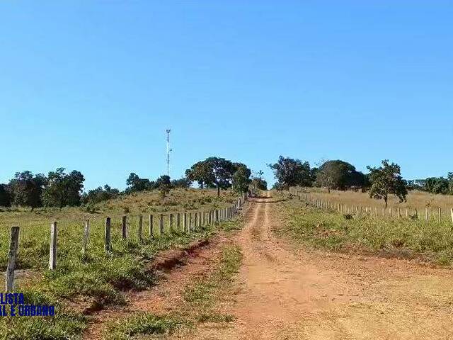 Fazenda para Venda em São Luís de Montes Belos - 4