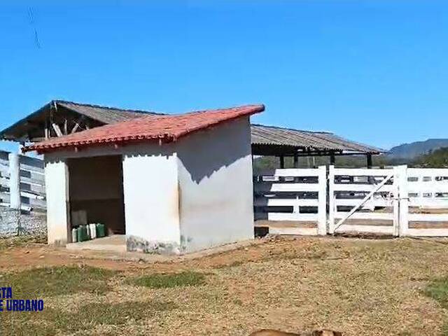 #3980 - Fazenda para Venda em São Luís de Montes Belos - GO