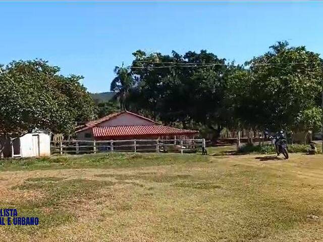 Fazenda para Venda em São Luís de Montes Belos - 5
