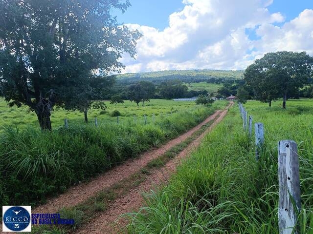#3980 - Fazenda para Venda em São Luís de Montes Belos - GO