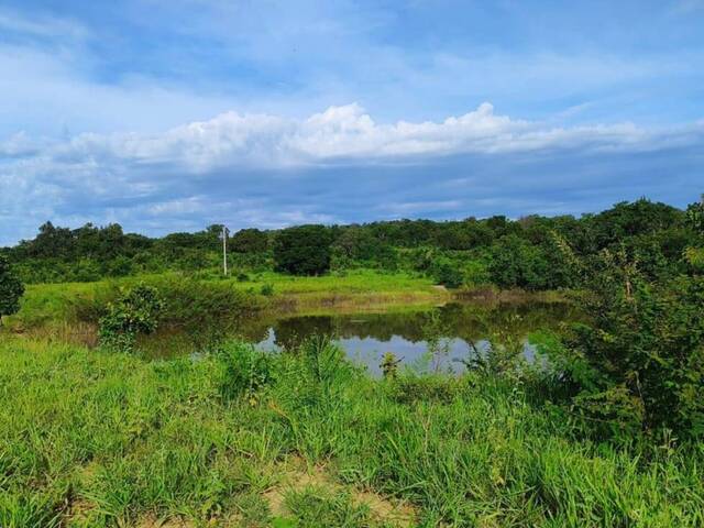 #3982 - Fazenda para Venda em Minaçu - GO