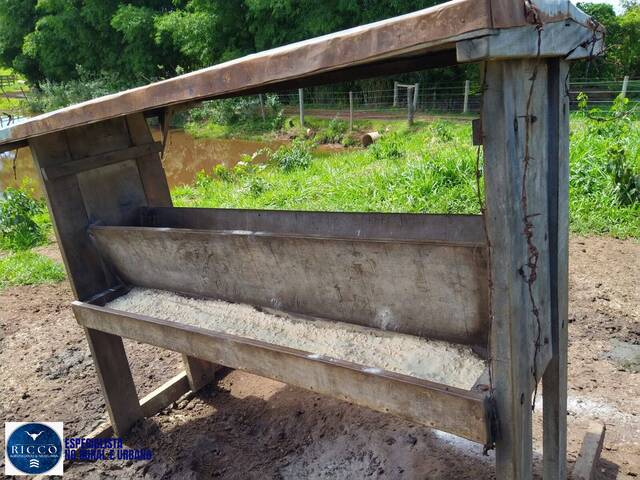 #3983 - Chácara para Venda em Taquaral de Goiás - GO