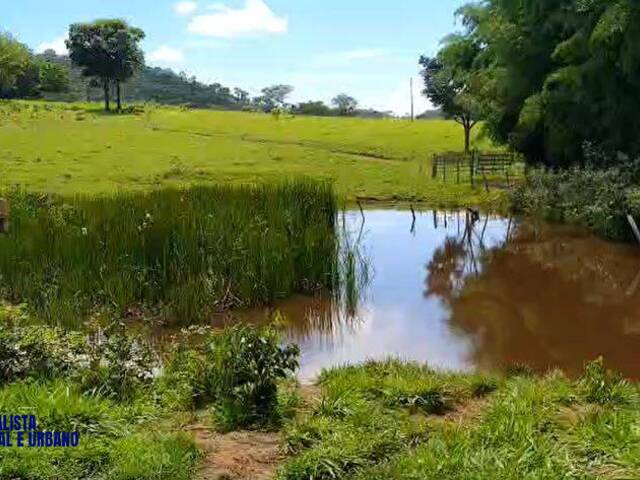 #3983 - Chácara para Venda em Taquaral de Goiás - GO