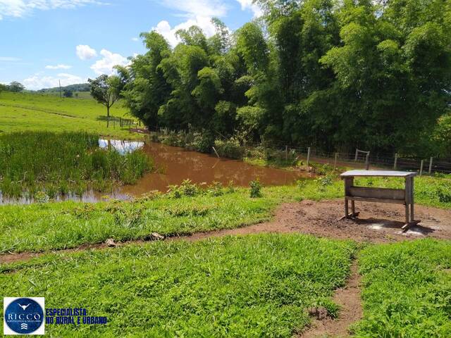 Venda em zona rural - Taquaral de Goiás