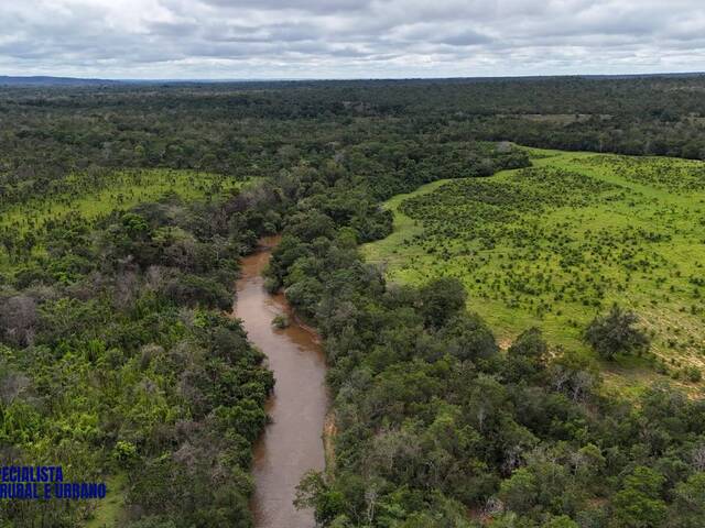 #3985 - Fazenda para Venda em Colinas do Tocantins - TO
