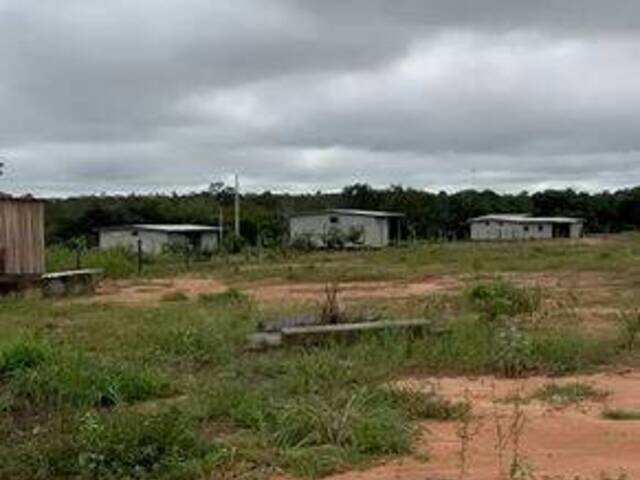 #3985 - Fazenda para Venda em Colinas do Tocantins - TO