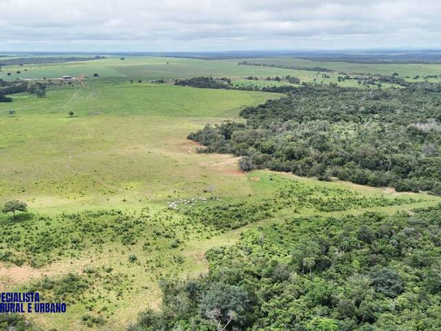 Fazenda para Venda em Colinas do Tocantins - 5