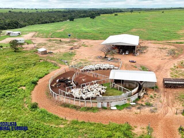 #3985 - Fazenda para Venda em Colinas do Tocantins - TO