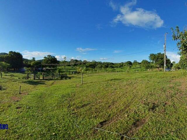 #3986 - Fazenda para Venda em Jussara - GO