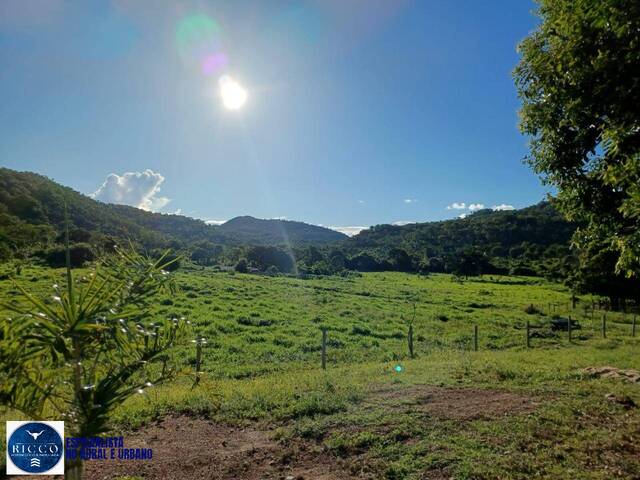 #3986 - Fazenda para Venda em Jussara - GO