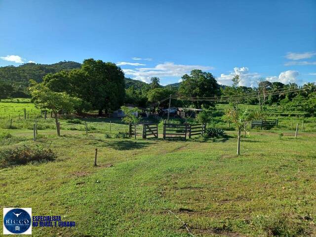 #3986 - Fazenda para Venda em Jussara - GO