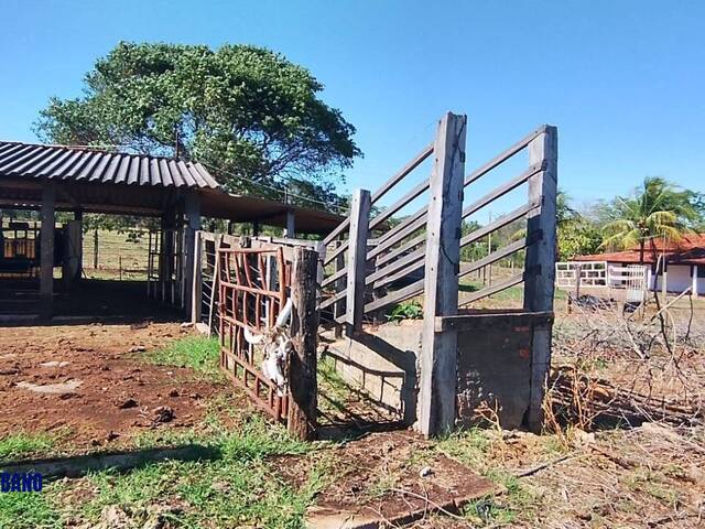 #3987 - Chácara para Venda em Nazário - GO