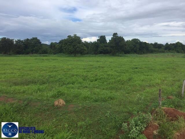 #3988 - Fazenda para Venda em Porangatu - GO