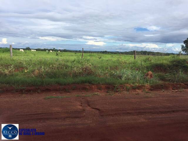 Fazenda para Venda em Porangatu - 5