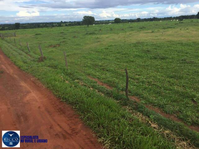 #3988 - Fazenda para Venda em Porangatu - GO