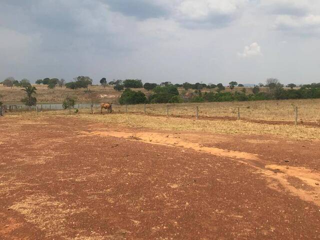 #3989 - Fazenda para Venda em Nova Crixás - GO