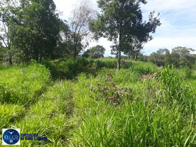 #3992 - Chácara para Venda em Itapuranga - GO