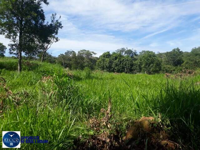 #3992 - Chácara para Venda em Itapuranga - GO