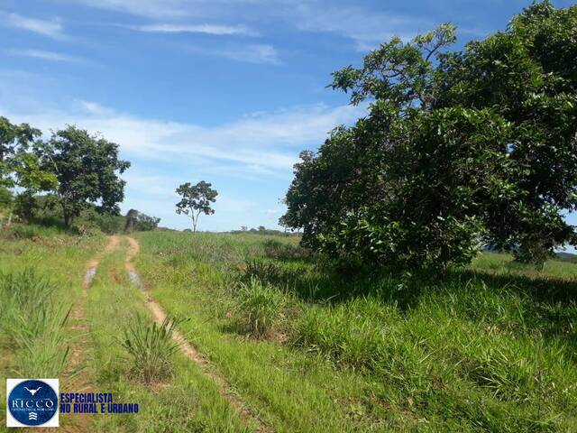 #3992 - Chácara para Venda em Itapuranga - GO