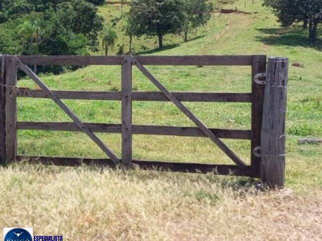 #3994 - Fazenda para Venda em Bom Jardim de Goiás - GO