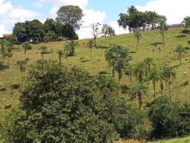 #3994 - Fazenda para Venda em Bom Jardim de Goiás - GO