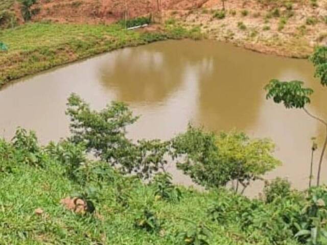 #3994 - Fazenda para Venda em Bom Jardim de Goiás - GO