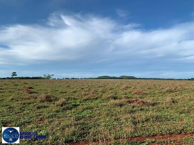 #3995 - Fazenda para Venda em Santa Fé de Goiás - GO