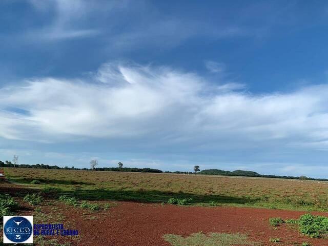 Fazenda para Venda em Santa Fé de Goiás - 5