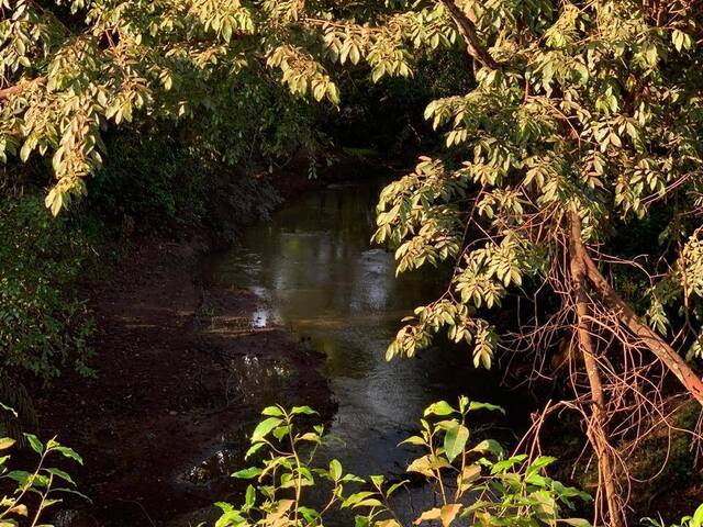 #3995 - Fazenda para Venda em Santa Fé de Goiás - GO