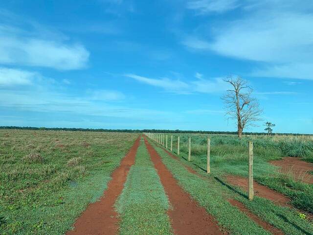 #3995 - Fazenda para Venda em Santa Fé de Goiás - GO