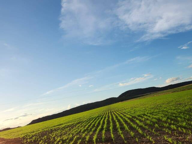 #3996 - Fazenda para Venda em Baliza - GO
