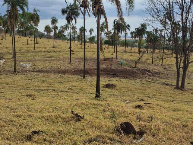 #3998 - Fazenda para Venda em Araçu - GO